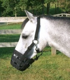 Best Friend Deluxe Grazing Muzzle & Halter