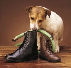 Saxon Somerset Speed-Lace EquiLeather, Brown 11, 12, 3 & 4 Only