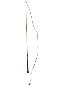 Roma Child's Lunge Whip