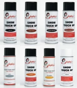 Shapley's Color Touch Ups