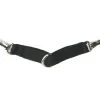 Lunging Strap