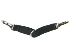 Lunging Strap