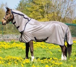 Horseware Mio Pony Fly Sheet, Bronze/Navy, 54'' - 69''