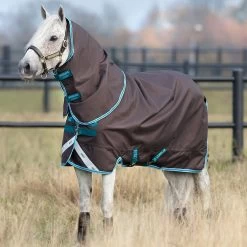 Amigo Bravo 12 Pony PLUS Turnout Sheet, Excalibur/Aq/Turquoise, 45" - 69"