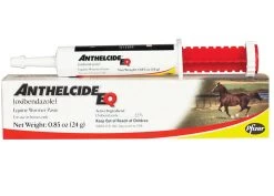 Anthelcide EQ Paste Horse Dewormer, 24 Gm