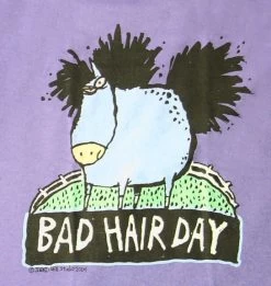 Bad Hair Day - Adult