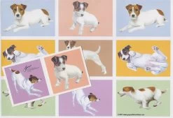 Jack Russell Gift Wrap With Tags