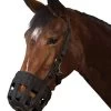 Roma Grazing Muzzle With Halter