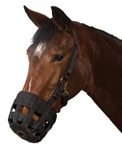 Roma Grazing Muzzle With Halter