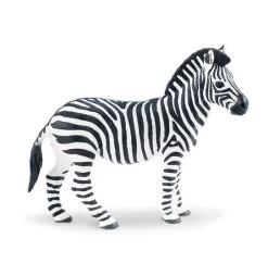 Wild Safari Plains Zebra