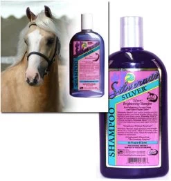 Silverado Silver Shampoo
