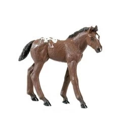 Safari Winner's Circle Appaloosa Foal