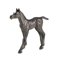 Safari Winner's Circle Arabian Foal