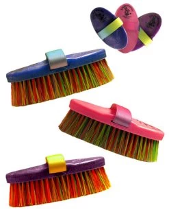 Haas Multicolored Bristle Brush In Blue And Pink