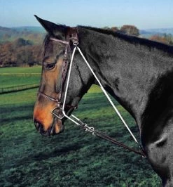 Shires De Gouge, Pony And Cob