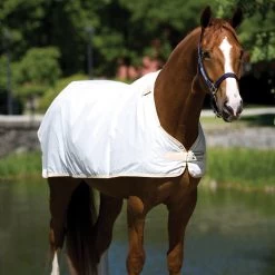 Horseware Pony Fly Sheet Liner, 54" - 69"