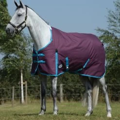 Weatherbeeta Comfitec Essential Medium, Grape Purple/Blue, 48" - 69"