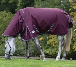 Weatherbeeta Comfitec Plus Dynamic II Detach-A-Neck Medium, 48" - 69"