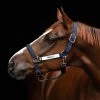 Horseware Field Safe Halter, Two Colors, Pony & Cob