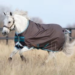 Amigo Bravo 12 Pony Turnout Sheet, Excalibur/Aq/Turquoise, 45" - 69"