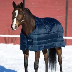 Horseware PONY Blanket Liner, 200 Gm, 45" - 69"