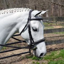 Bobby's Padded, Wide Noseband, Contour Crown, Fancy Bridle