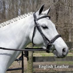 Bobby's Signature Padded, Wide Noseband, Contour Crown, Fancy Bridle