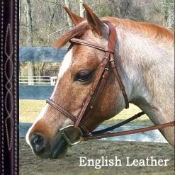 Bobby's Signature Raised, Fancy Bridle With Fancy Reins