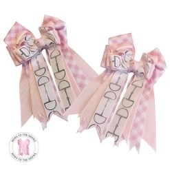 Bows To The Shows, Silver Snaffles & Pink Gingham