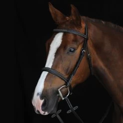 Collegiate Comfort Crown Raised, Fancy Stitched Bridle, Pony & Cob, Brown