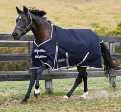 Weatherbeeta Comfitec Essential Heavy, Navy/Silver/Red, 48" - 69"