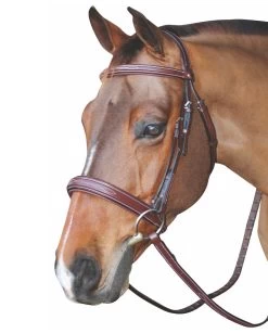 HDR Mono Crown, Padded, Wide Noseband Bridle, Pony & Cob