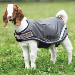 Horseware Goat Coat, Excalibur/Silver/Bright Blue/Black, XS - XXXL