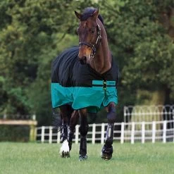 Horseware Mio Medium Turnout Blanket, Black/Turquoise, 45" - 69"