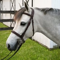 Nunn Finer Venice, Fancy Stitched Pony Bridle, Italian Leather