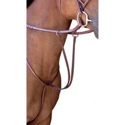 Passport Plain Raised Running Martingale, Brown