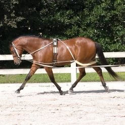 Pessoa Training System - Pony