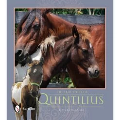 The True Story Of Quintilius, A Chincoteague Pony