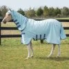Rambo Hoody Vamoose With No-Fly Zone, Baby Blue/Raspberry/Blue, 51" - 63"