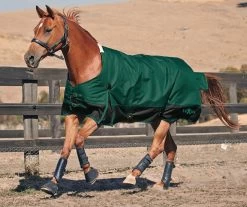 Saxon 1200D Lite Turnout Sheet, Sizes 60" - 69"