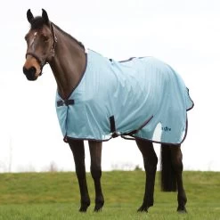 Saxon Mesh Fly Sheet, Standard Neck, Light Blue/Claret/Dark Blue, 48" - 69"