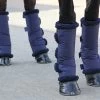 Shires Fleece Lined Shipping Boots, Set Of 4, Pony & Cob