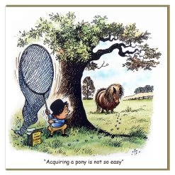 Thelwell- How To Get A Pony, Single Card