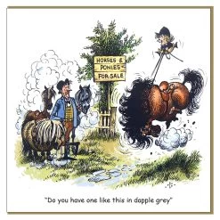 Thelwell- Dapple Grey, Single Card