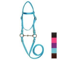Triple E Mini Bridle With Bit