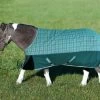 TuffRider 1200D Mini Turnout Blanket, Two-Tone Teal Plaid, 36'' - 56''
