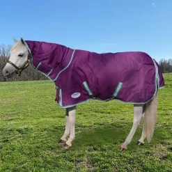 Weatherbeeta Comfitec Premier Freedom Pony Detach-a-Neck Turnout Sheet, 48" - 69"