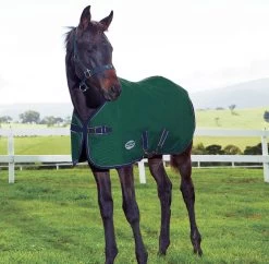 Weatherbeeta 1200D Foal/Mini Blanket, Hunter/Navy, 36" - 51"